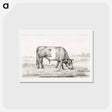アートポストカード-Grazing bull in a pasture - ジャン ベルナール Postcard.