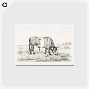 アートポストカード-Grazing bull in a pasture - ジャン ベルナール Postcard.