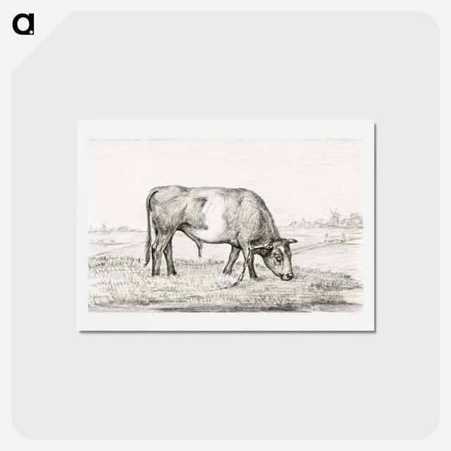 アートポストカード-Grazing bull in a pasture - ジャン ベルナール Postcard.