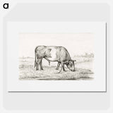Grazing bull in a pasture - ジャン ベルナール Poster.