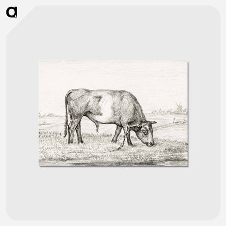 アートポストカード-Grazing bull in a pasture - ジャン ベルナール Postcard.