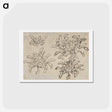 アートポストカード-Hokusai's flower sketch - 葛飾 北斎 Postcard.