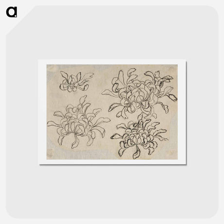 アートポストカード-Hokusai's flower sketch - 葛飾 北斎 Postcard.