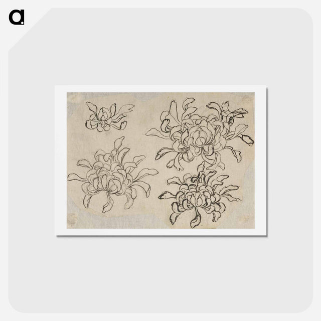 アートポストカード-Hokusai's flower sketch - 葛飾 北斎 Postcard.
