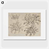 Hokusai's flower sketch - Katsushika Hokusai Poster.