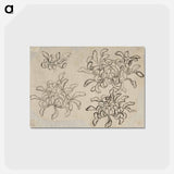 アートポストカード-Hokusai's flower sketch - 葛飾 北斎 Postcard.