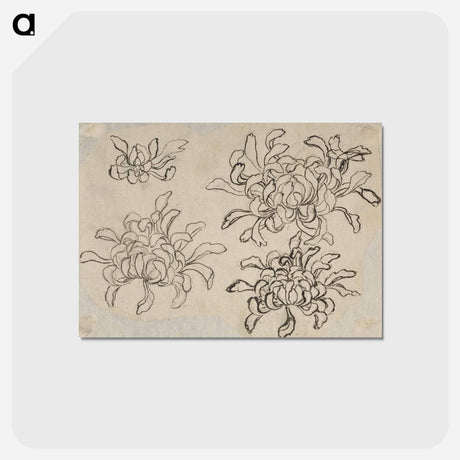 アートポストカード-Hokusai's flower sketch - 葛飾 北斎 Postcard.