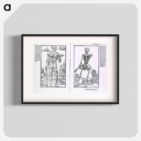 アートポスター-Muscles and Bones
 - 国立医学図書館 Poster.