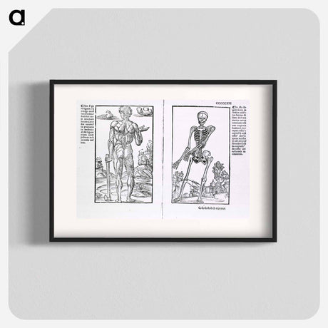 アートポスター-Muscles and Bones
 - 国立医学図書館 Poster.