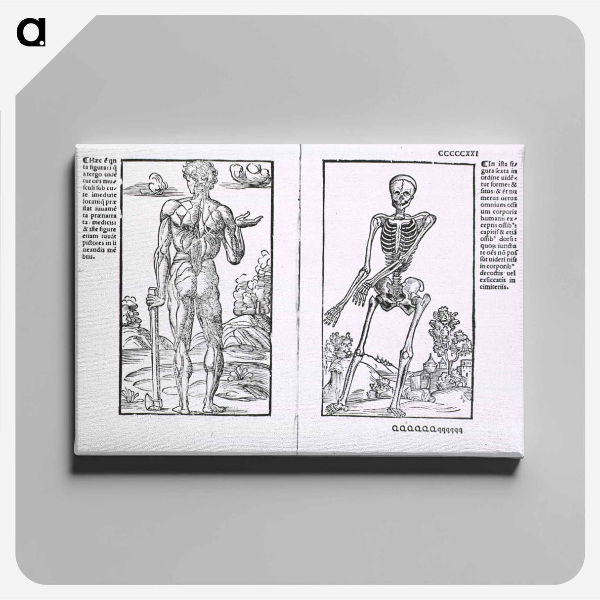 アートパネル-Muscles and Bones
 - 国立医学図書館 Canvas.