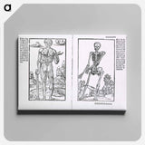 アートパネル-Muscles and Bones
 - 国立医学図書館 Canvas.