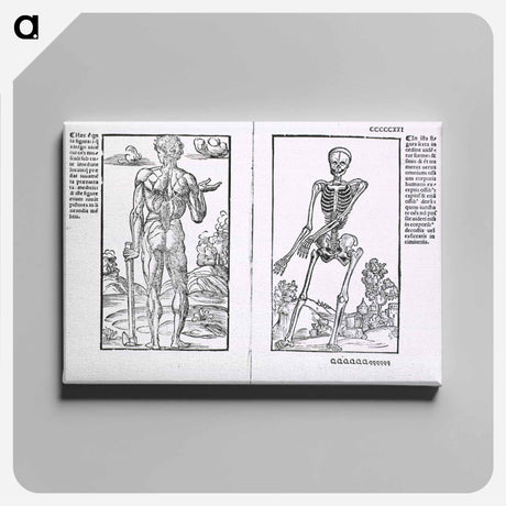 アートパネル-Muscles and Bones
 - 国立医学図書館 Canvas.