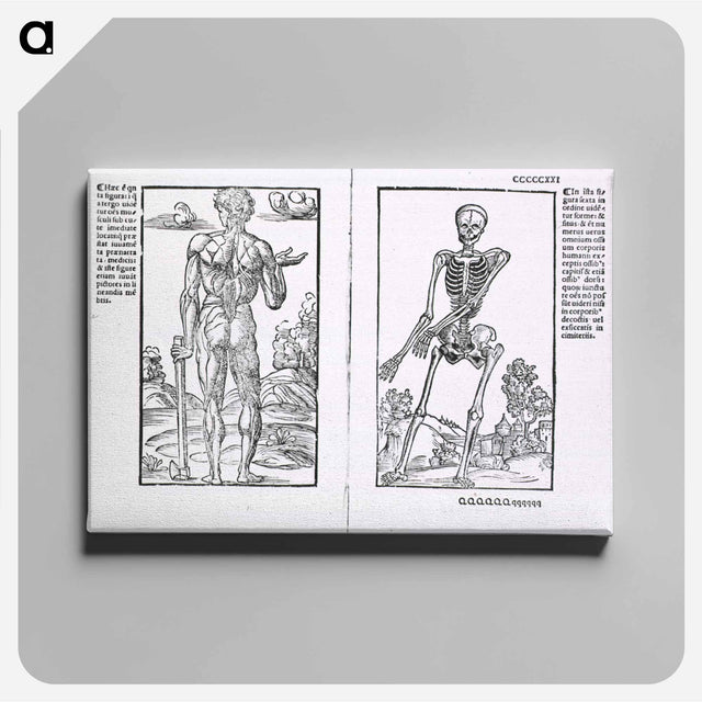 アートパネル-Muscles and Bones
 - 国立医学図書館 Canvas.
