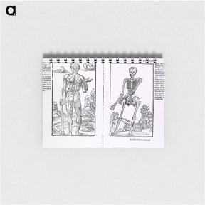 アートメモ帳-Muscles and Bones
 - 国立医学図書館 Memo.