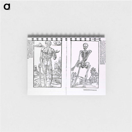 アートメモ帳-Muscles and Bones
 - 国立医学図書館 Memo.
