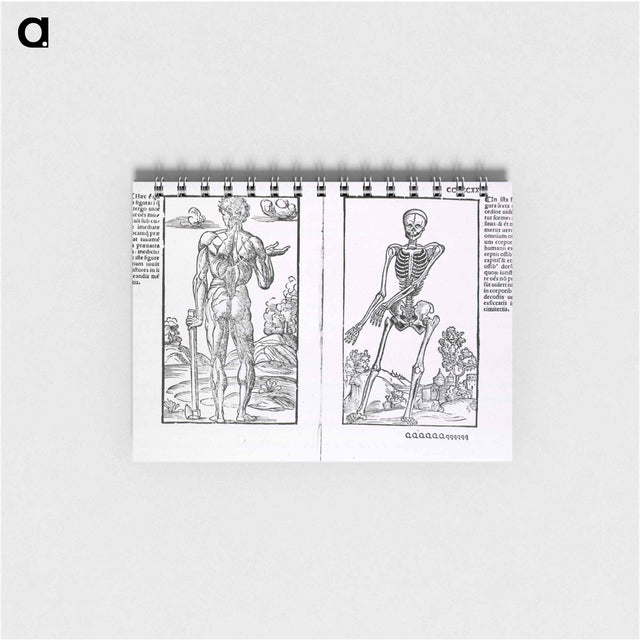 アートメモ帳-Muscles and Bones
 - 国立医学図書館 Memo.