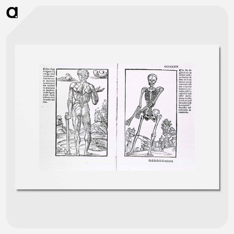 アートポスター-Muscles and Bones
 - 国立医学図書館 Poster.