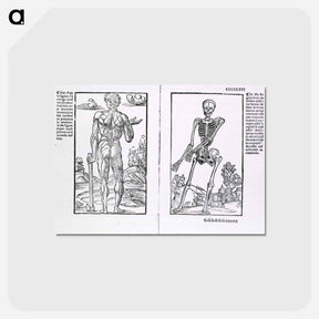 アートポストカード-Muscles and Bones
 - 国立医学図書館 Postcard.