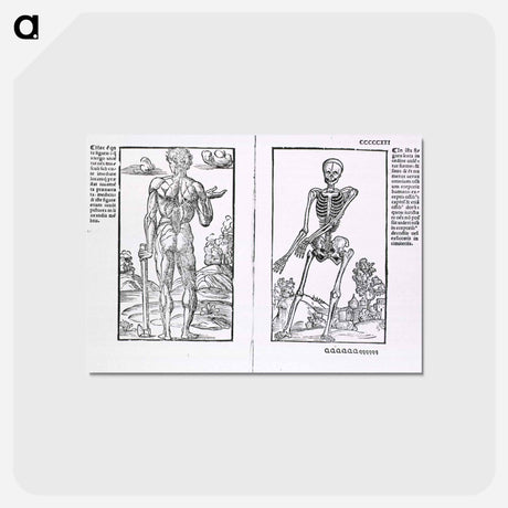 アートポストカード-Muscles and Bones
 - 国立医学図書館 Postcard.