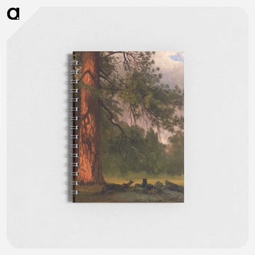 Yosemite Camp Kitchen - アルバート ビアスタット Memo.