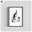 アートポスター-Kangaroo and Kangaroo Rat
 - 大英図書館 Poster.