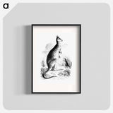 アートポスター-Kangaroo and Kangaroo Rat
 - 大英図書館 Poster.