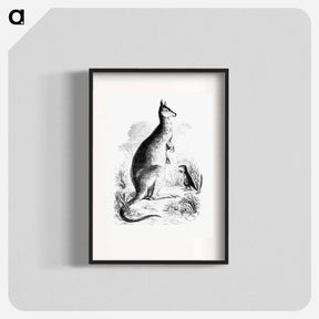 アートポスター-Kangaroo and Kangaroo Rat
 - 大英図書館 Poster.