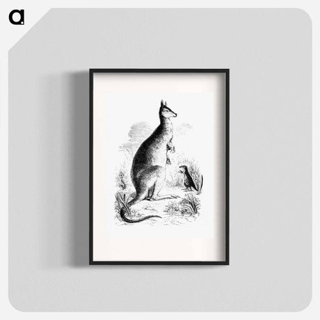 アートポスター-Kangaroo and Kangaroo Rat
 - 大英図書館 Poster.