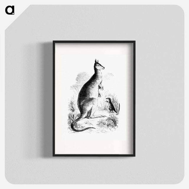 アートポスター-Kangaroo and Kangaroo Rat
 - 大英図書館 Poster.