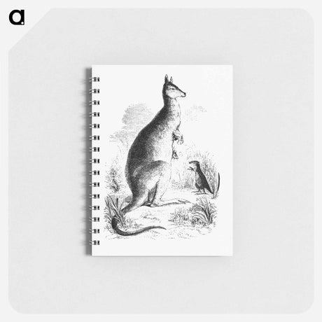アートメモ帳-Kangaroo and Kangaroo Rat
 - 大英図書館 Memo.