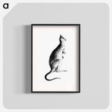 アートポスター-Kangaroo from Adventures of a Gold-Digger
 - 大英図書館 Poster.