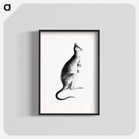 アートポスター-Kangaroo from Adventures of a Gold-Digger
 - 大英図書館 Poster.
