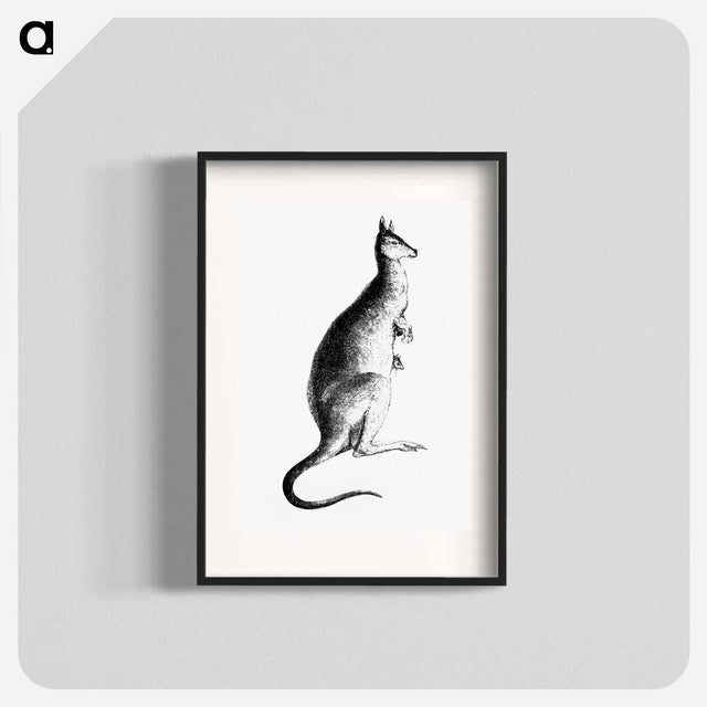 アートポスター-Kangaroo from Adventures of a Gold-Digger
 - 大英図書館 Poster.