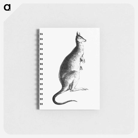 アートメモ帳-Kangaroo from Adventures of a Gold-Digger
 - 大英図書館 Memo.
