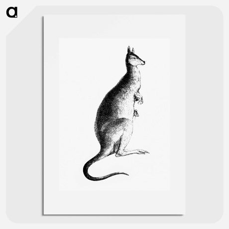 アートポスター-Kangaroo from Adventures of a Gold-Digger
 - 大英図書館 Poster.