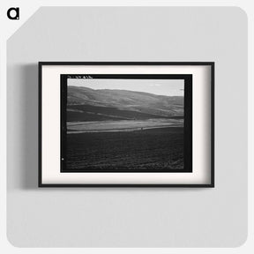 アートポスター-Newly-plowed fields on land belonging to member of Ola self-help sawmill co-op - ドロテア ラング Poster.