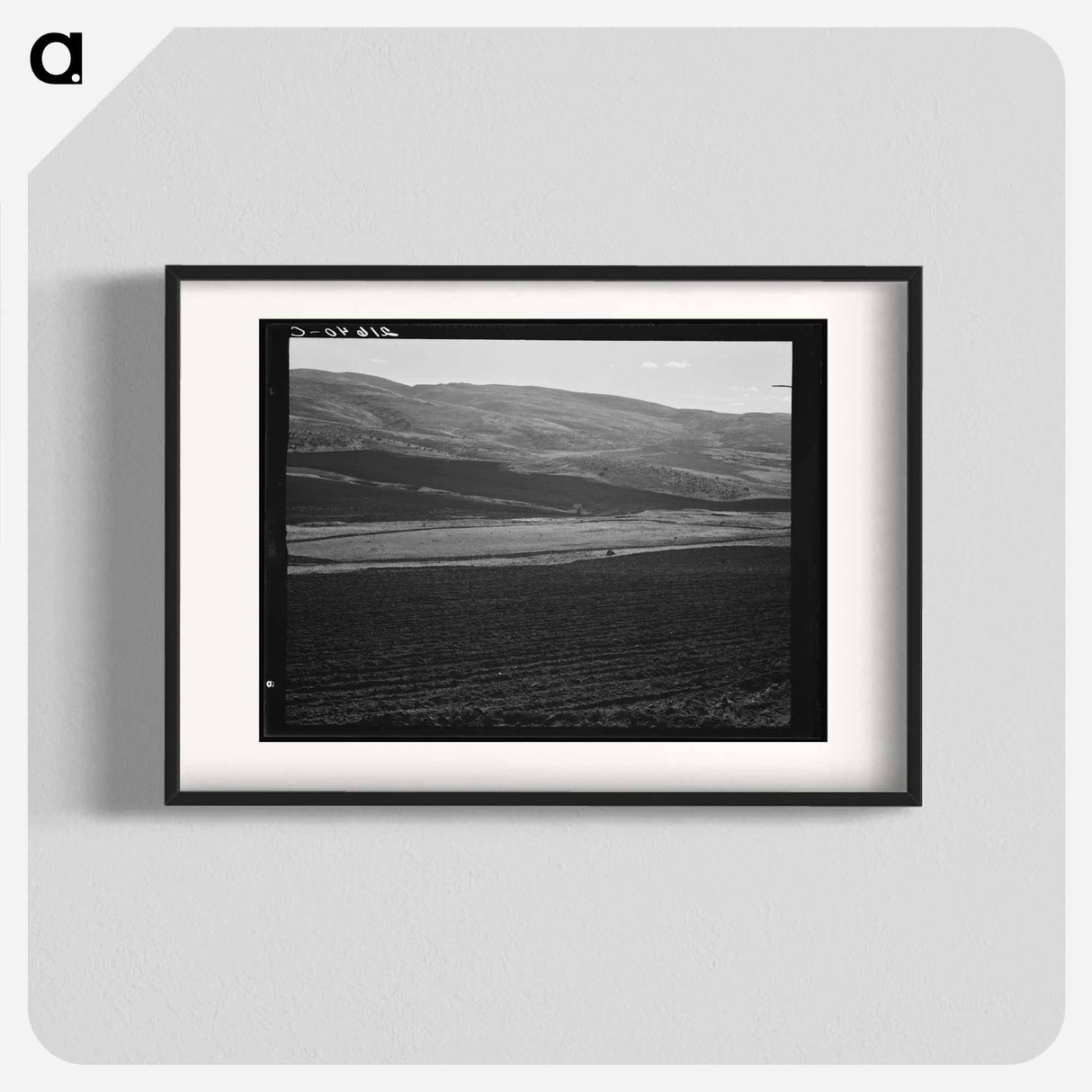 Newly-plowed fields on land belonging to member of Ola self-help sawmill co-op - Dorothea Lange Poster.