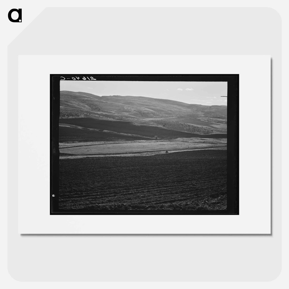 Newly-plowed fields on land belonging to member of Ola self-help sawmill co-op - Dorothea Lange Poster.