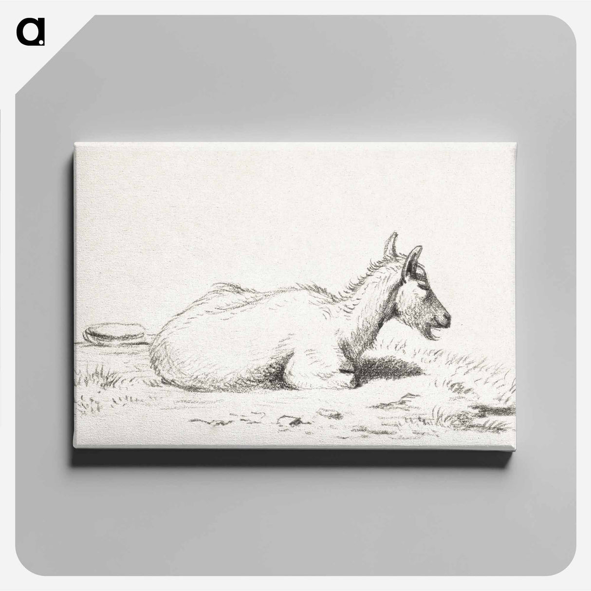 アートパネル-Lying goat - ジャン ベルナール Canvas.
