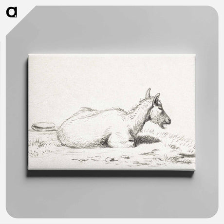 アートパネル-Lying goat - ジャン ベルナール Canvas.