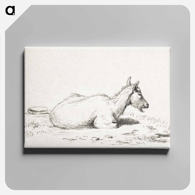 アートパネル-Lying goat - ジャン ベルナール Canvas.