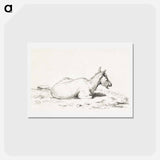 アートポストカード-Lying goat - ジャン ベルナール Postcard.