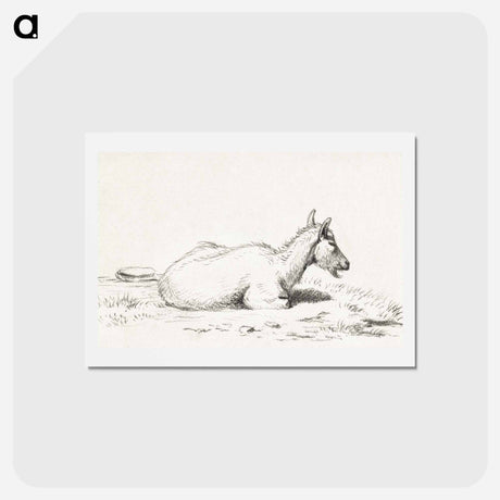 アートポストカード-Lying goat - ジャン ベルナール Postcard.