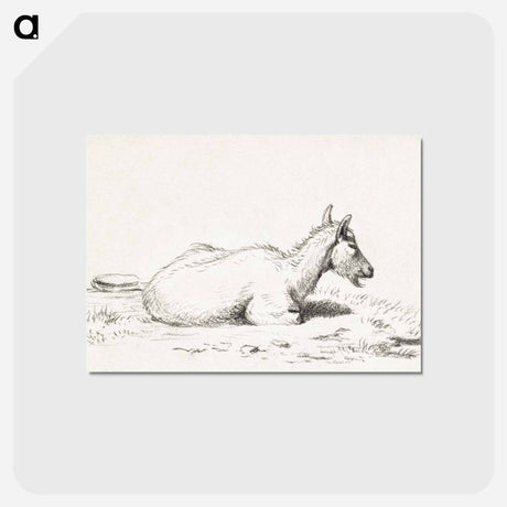 アートポストカード-Lying goat - ジャン ベルナール Postcard.