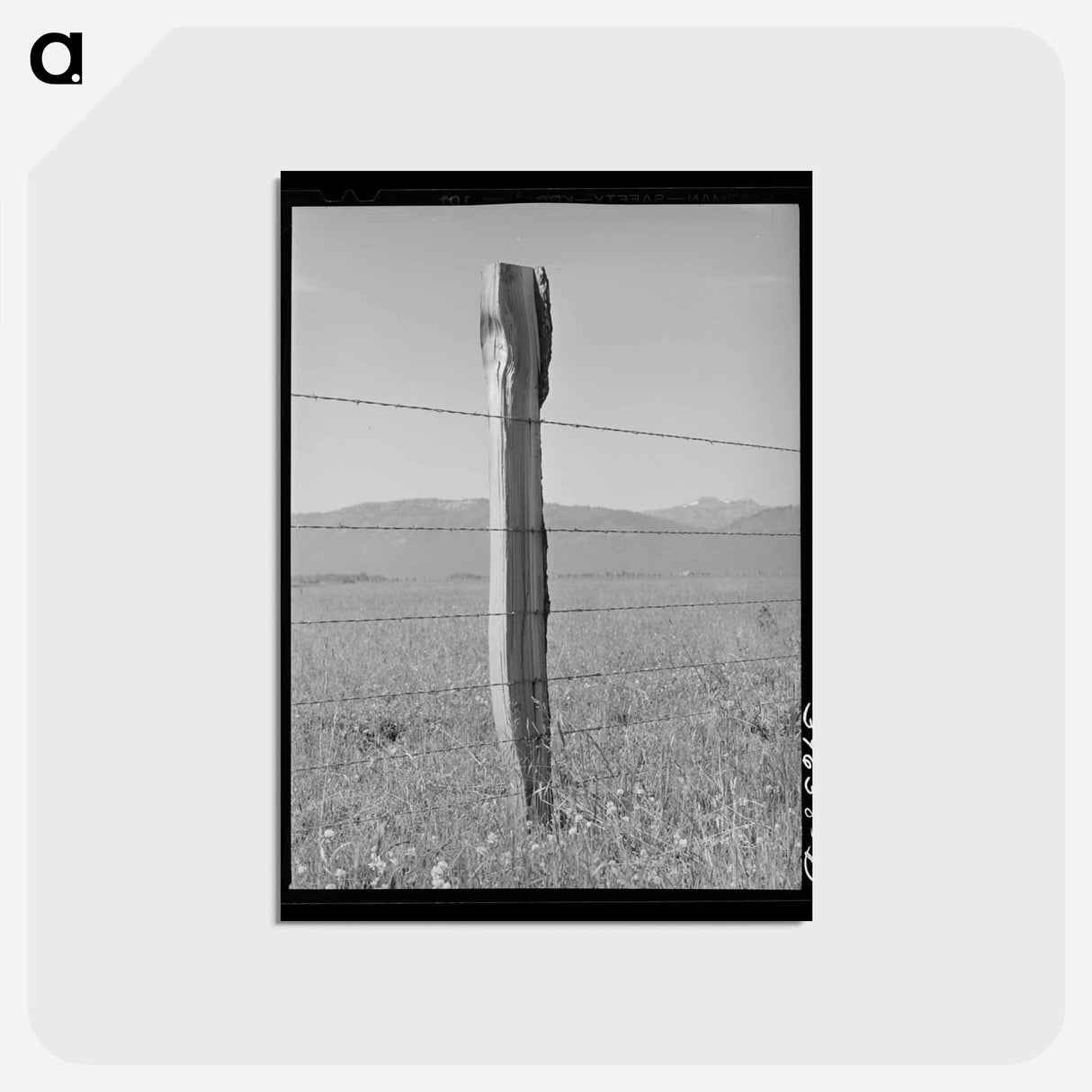 アートポストカード-Cruzen Ranch Fence
 - ラッセル リー Postcard.