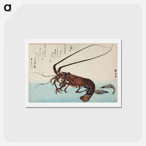 アートポストカード-Lobster and Two Shrimps
 - 歌川 広重 Postcard.