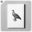 アートパネル-Black Eagle, Travels and Adventures in Southern Africa
 - 大英図書館 Canvas.