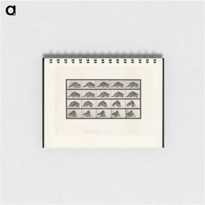 アートメモ帳-Turning Racoon
 - エドワード マイブリッジ Memo.