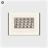 アートポストカード-Turning Racoon
 - エドワード マイブリッジ Postcard.