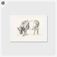 アートポストカード-Grazing bull - ジャン ベルナール Postcard.